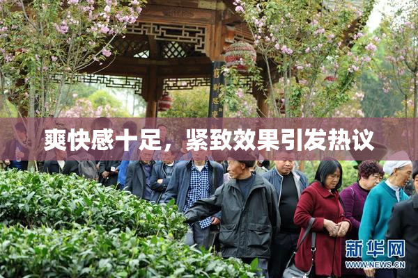 爽快感十足，紧致效果引发热议