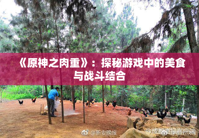 《原神之肉重》：探秘游戏中的美食与战斗结合