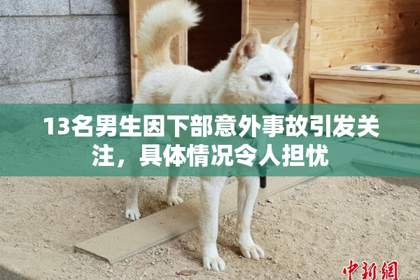 13名男生因下部意外事故引发关注，具体情况令人担忧