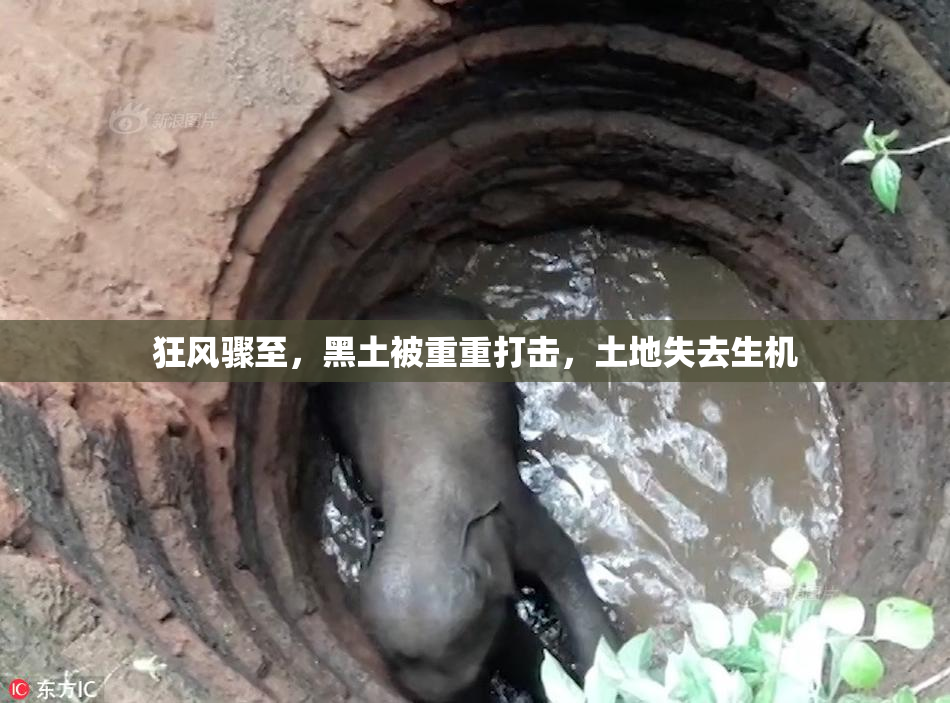 狂风骤至，黑土被重重打击，土地失去生机