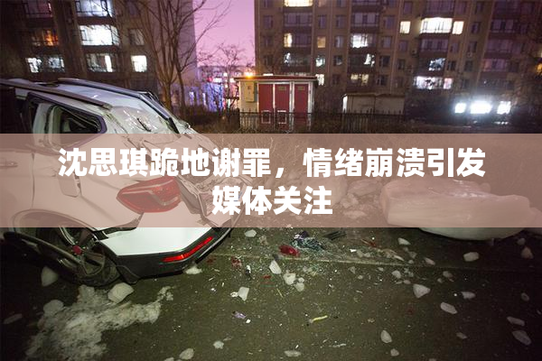 沈思琪跪地谢罪，情绪崩溃引发媒体关注