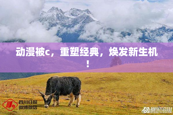 动漫被c，重塑经典，焕发新生机！