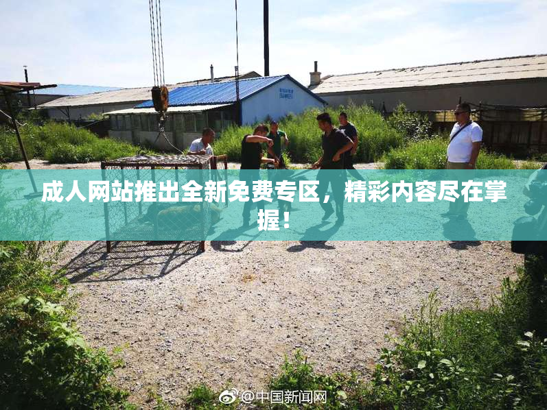 成人网站推出全新免费专区，精彩内容尽在掌握！