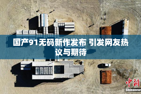 国产91无码新作发布 引发网友热议与期待