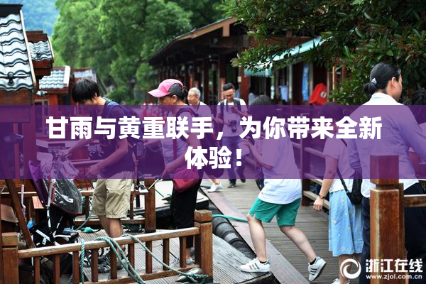 甘雨与黄重联手，为你带来全新体验！