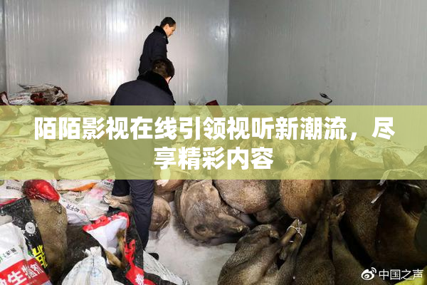 陌陌影视在线引领视听新潮流，尽享精彩内容