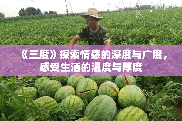 《三度》探索情感的深度与广度，感受生活的温度与厚度