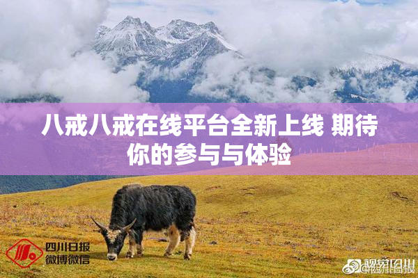 八戒八戒在线平台全新上线 期待你的参与与体验