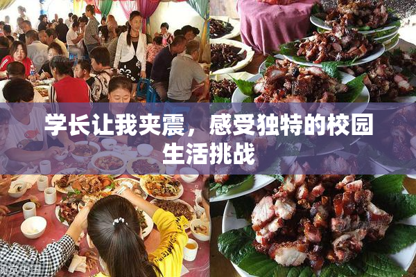 学长让我夹震，感受独特的校园生活挑战