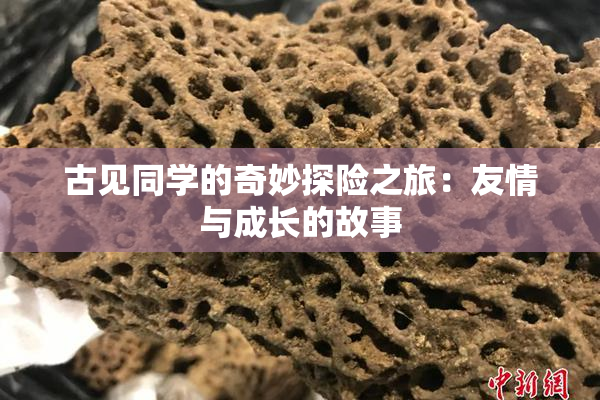 古见同学的奇妙探险之旅：友情与成长的故事
