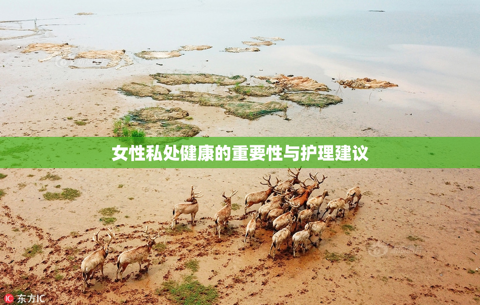 女性私处健康的重要性与护理建议