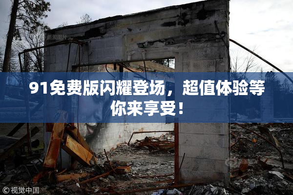 91免费版闪耀登场，超值体验等你来享受！