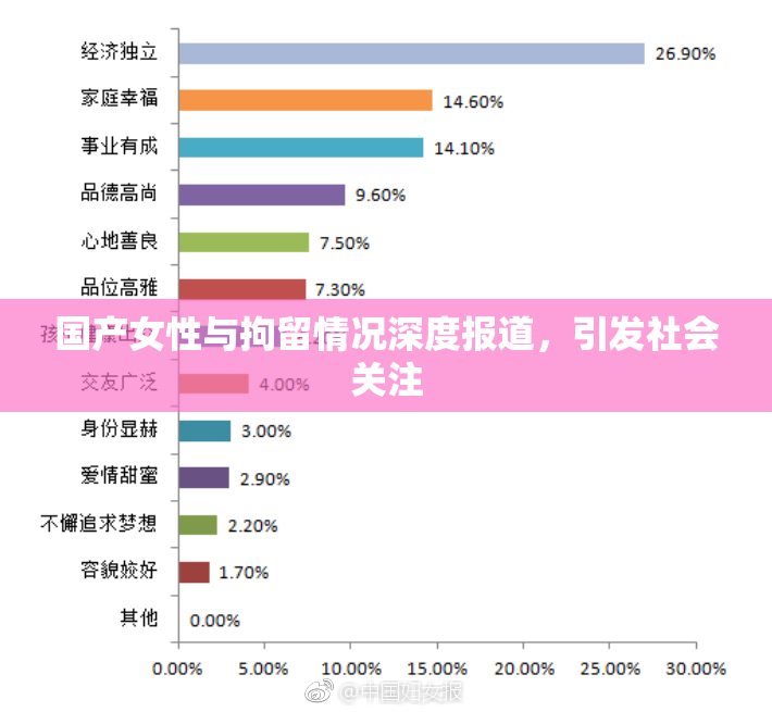 国产女性与拘留情况深度报道，引发社会关注