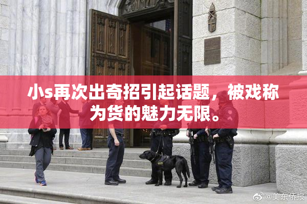 小s再次出奇招引起话题，被戏称为货的魅力无限。