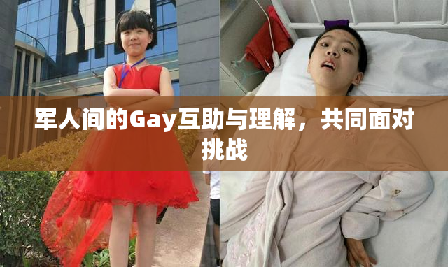 军人间的Gay互助与理解，共同面对挑战