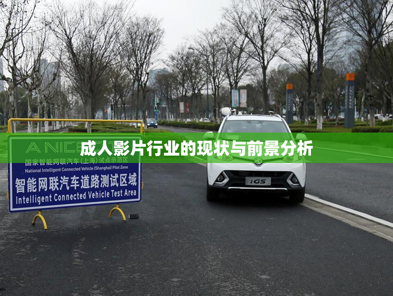 成人影片行业的现状与前景分析