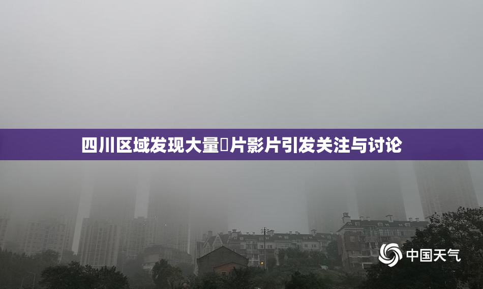 四川区域发现大量婬片影片引发关注与讨论
