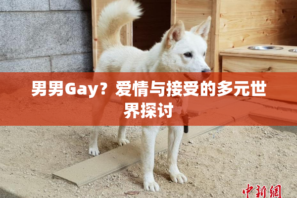 男男Gay？爱情与接受的多元世界探讨
