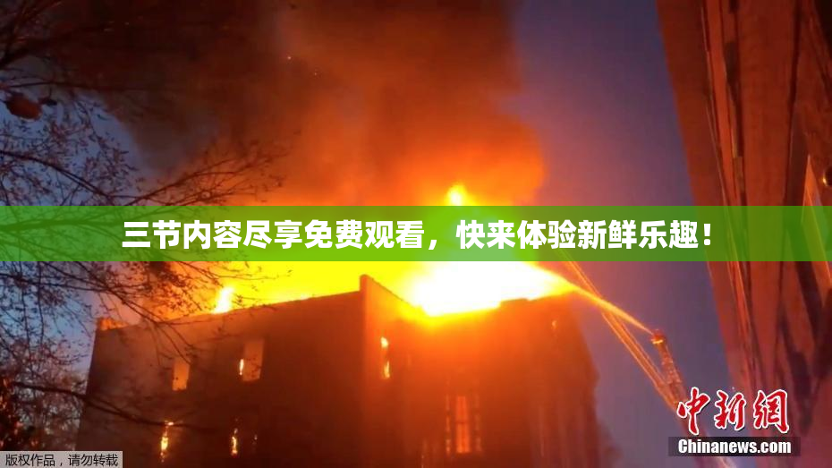 三节内容尽享免费观看，快来体验新鲜乐趣！