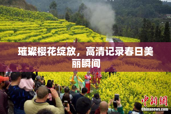 璀璨樱花绽放，高清记录春日美丽瞬间