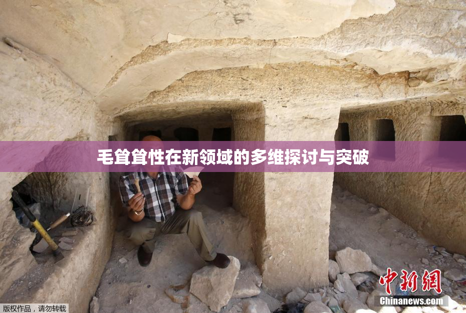 毛耸耸性在新领域的多维探讨与突破
