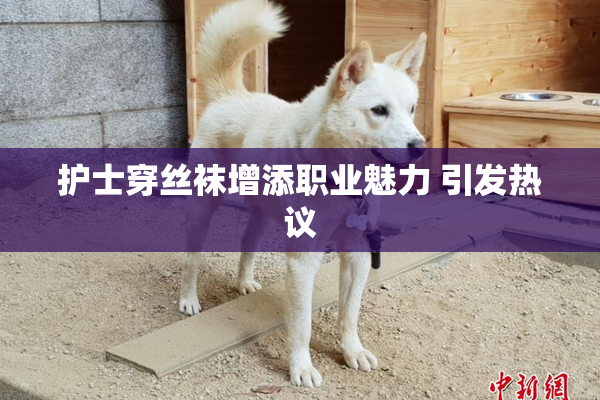 护士穿丝袜增添职业魅力 引发热议