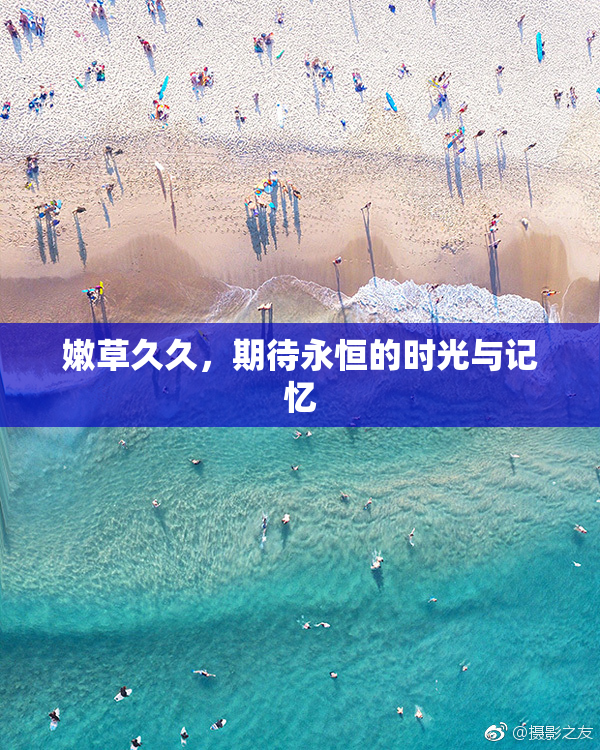 嫩草久久，期待永恒的时光与记忆