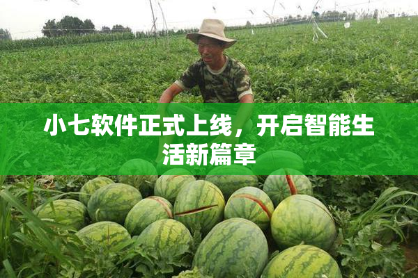 小七软件正式上线，开启智能生活新篇章