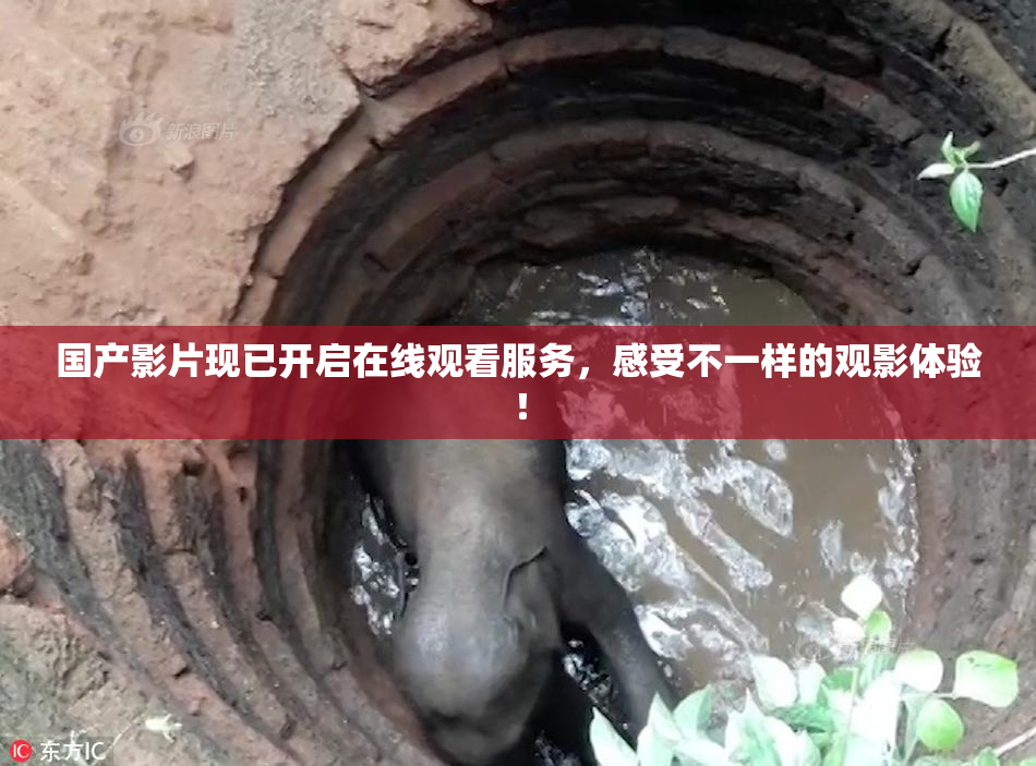 国产影片现已开启在线观看服务，感受不一样的观影体验！
