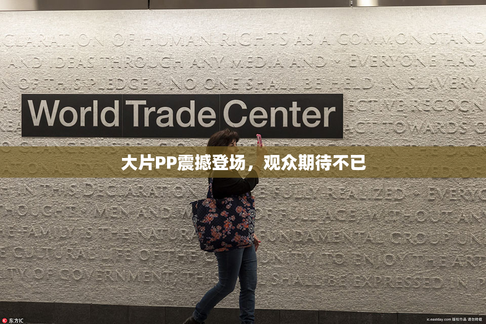 大片PP震撼登场，观众期待不已