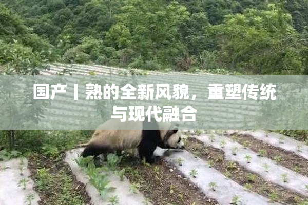国产丨熟的全新风貌，重塑传统与现代融合