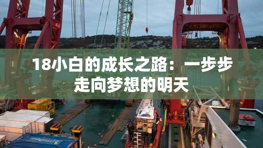 18小白的成长之路：一步步走向梦想的明天