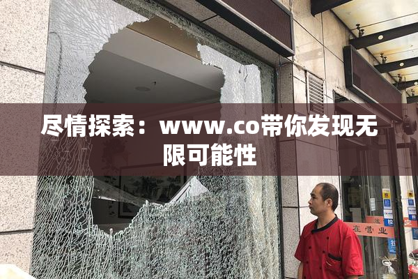 尽情探索：www.co带你发现无限可能性