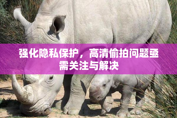 强化隐私保护，高清偷拍问题亟需关注与解决