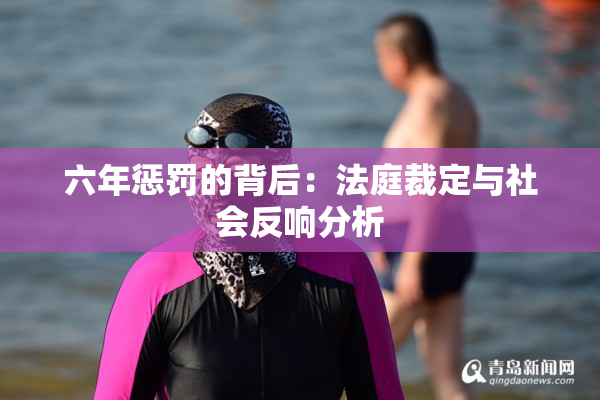 六年惩罚的背后：法庭裁定与社会反响分析