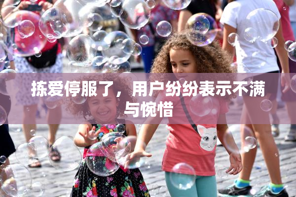 拣爱停服了，用户纷纷表示不满与惋惜