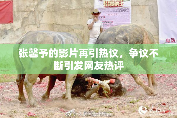 张馨予的影片再引热议，争议不断引发网友热评