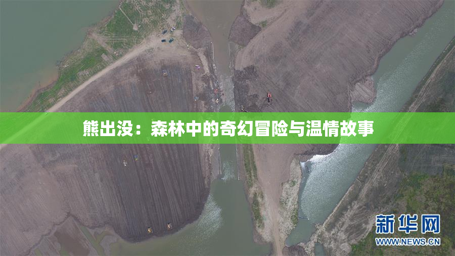 熊出没：森林中的奇幻冒险与温情故事