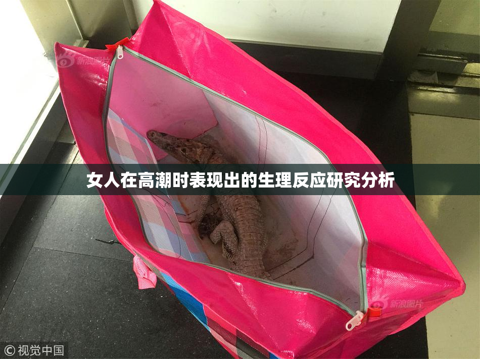 女人在高潮时表现出的生理反应研究分析