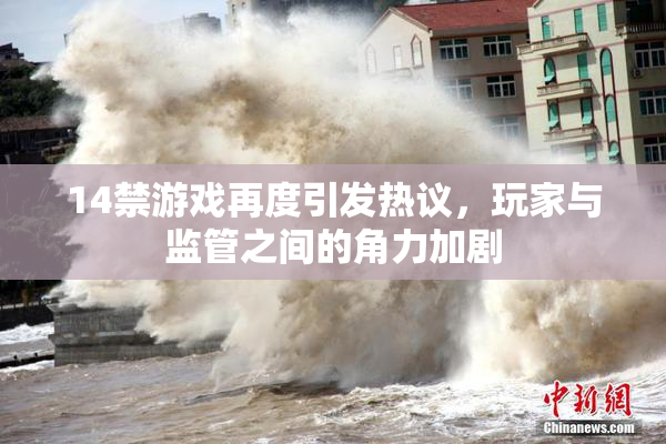 14禁游戏再度引发热议，玩家与监管之间的角力加剧