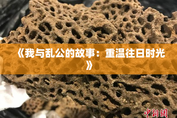 《我与乱公的故事：重温往日时光》