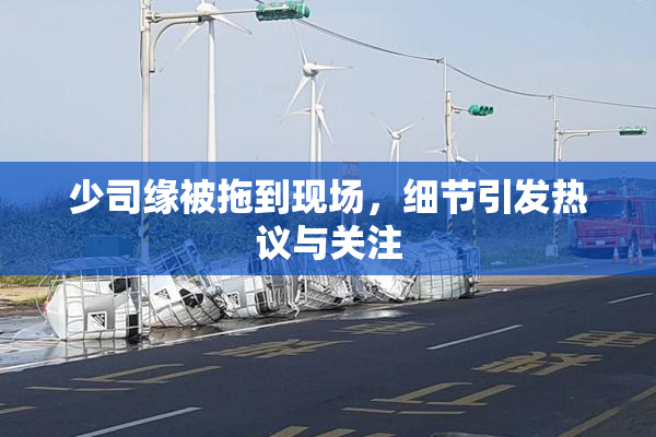 少司缘被拖到现场，细节引发热议与关注