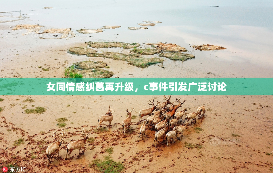 女同情感纠葛再升级，c事件引发广泛讨论