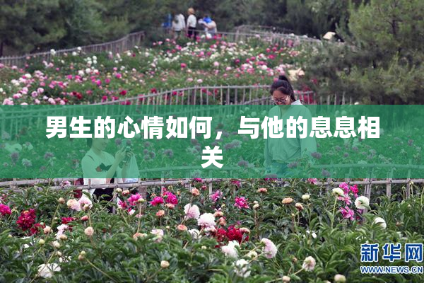 男生的心情如何，与他的息息相关