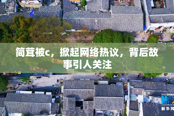 简茸被c，掀起网络热议，背后故事引人关注
