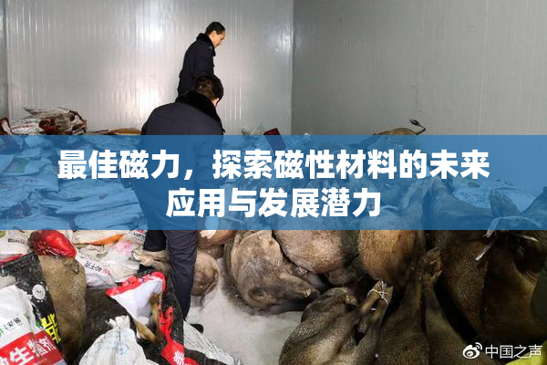 最佳磁力，探索磁性材料的未来应用与发展潜力