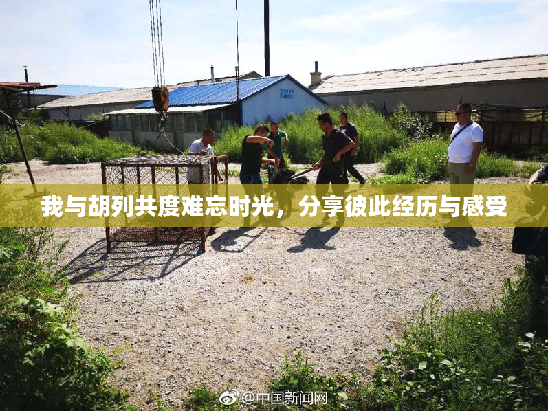我与胡列共度难忘时光，分享彼此经历与感受