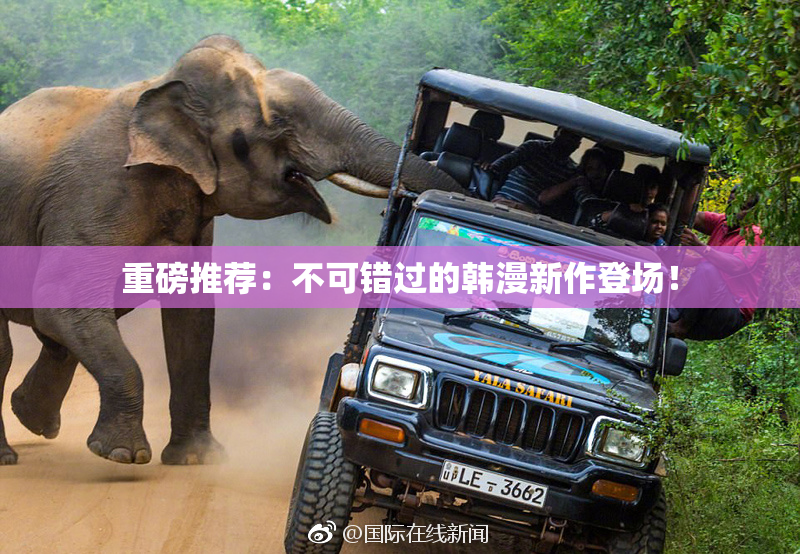 重磅推荐：不可错过的韩漫新作登场！