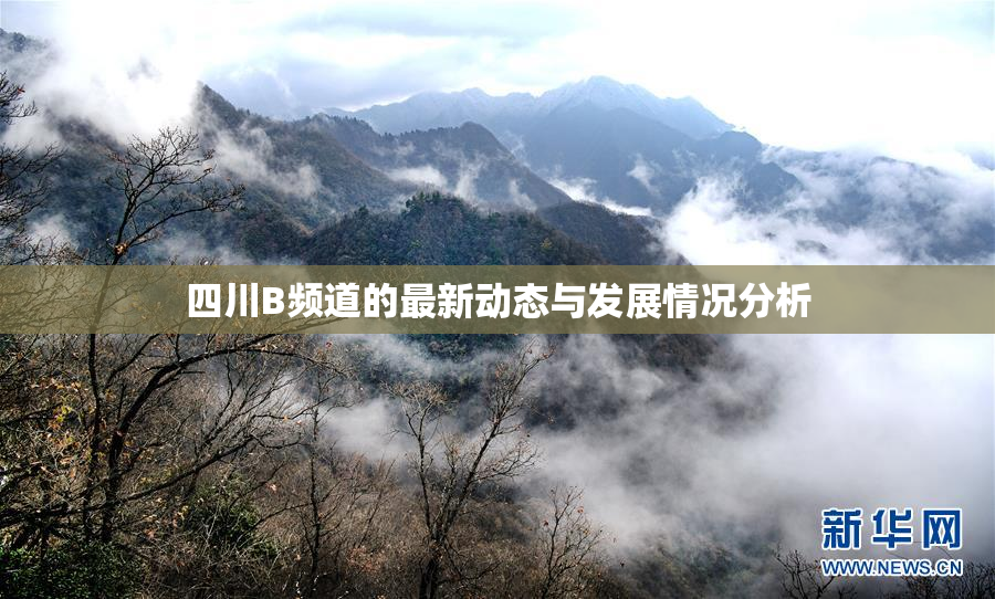 四川B频道的最新动态与发展情况分析