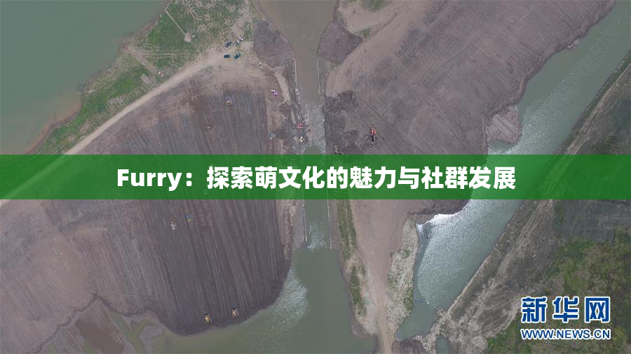 Furry：探索萌文化的魅力与社群发展